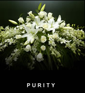 Casket Sprays - Purity